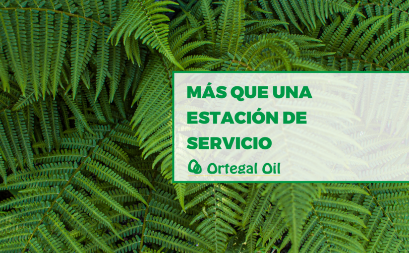 Ortegal Oil, más que una estación de servicio