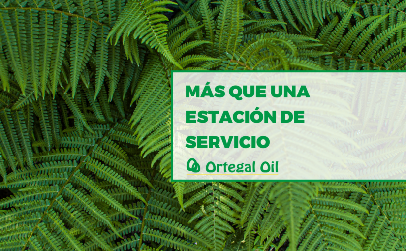 ortegal oil más que una estacion de servicio