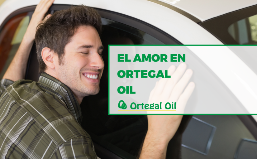 Descubre a tu pareja ideal según el combustible que usas